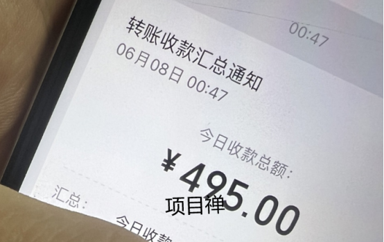小红书搭子项目玩法拆解-项目禅