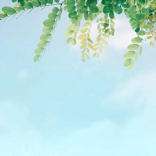 蓝海虚拟之纸质模板，简单粗暴-项目禅