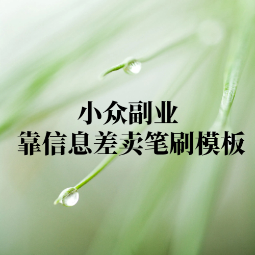 小众副业 靠信息差卖笔刷模板-项目禅