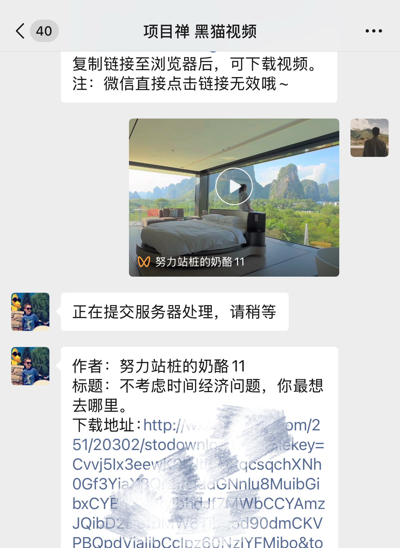 视频h解析下载工具超简单-项目禅