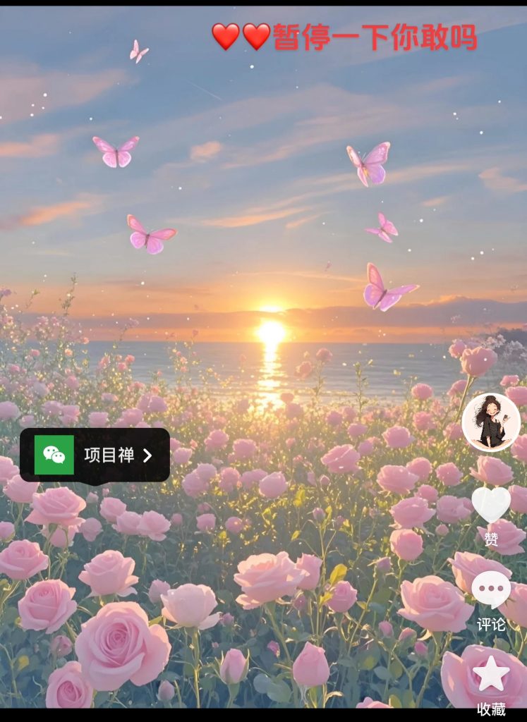 20241022234913967-微信图片_20241022234809