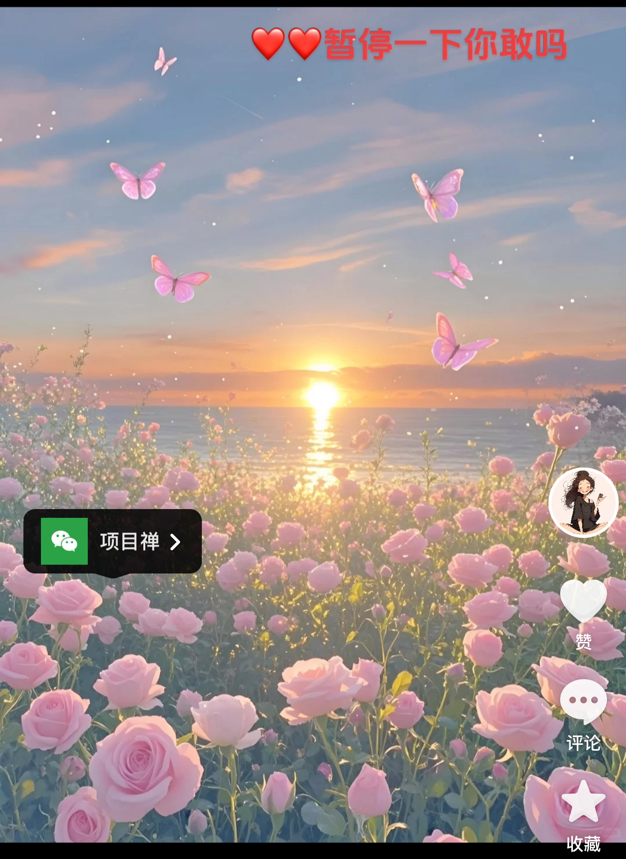 外面299的 抖音暂停弹出微信截流教程拆解-项目禅
