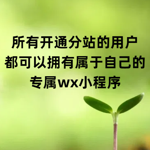 bug修复更新和所有大象副业分站都可以有自己的小程序了-项目禅