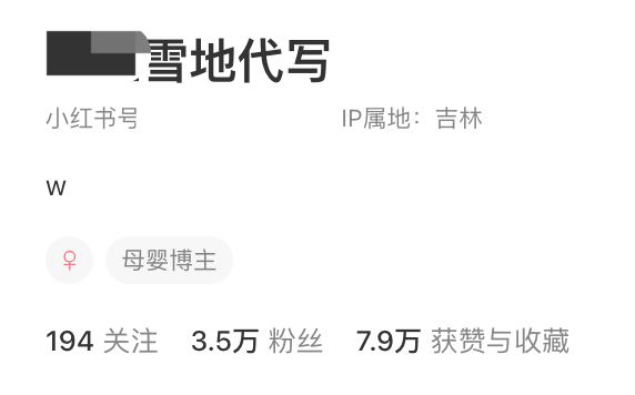 图片[4]-雪地代写升级版来了 快速涨粉搞钱-项目禅